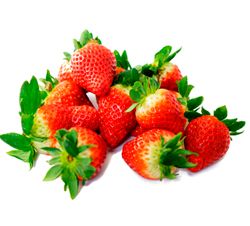 Fresh Strawberry from 폴란드 supplied by Premium Gold - Whole 신선 딸기