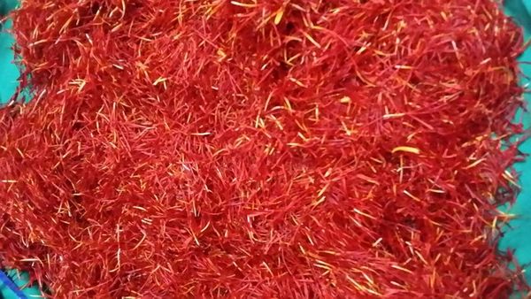 Saffron from 스페인 supplied by Azafranes Vega De Lezuza - 빨간색 사프란