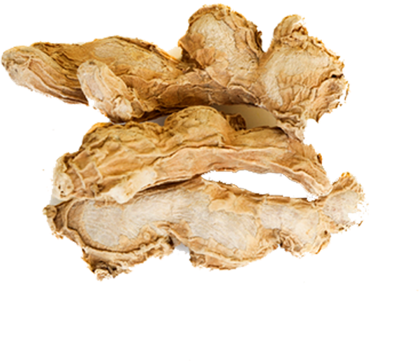 Dehydrated Ginger from India supplied by Spice Essence International LLP - Excellent Quality Ground Ginger