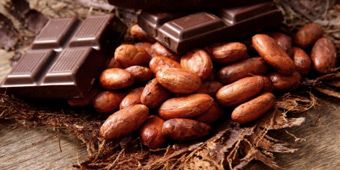 Cocoa Bean from Nigeria supplied by Vixxra Companies Ltd - Hybrid Cocoa Bean