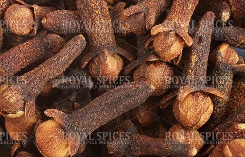 Cloves from 마다가스카르 supplied by Royal Spices - Dried 통정향