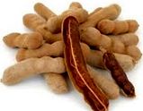 Tamarind from Myanmar [Burma] supplied by Chan Myae Yoma Company Limited - Fresh (=Chilled) Fresh Tamarind
