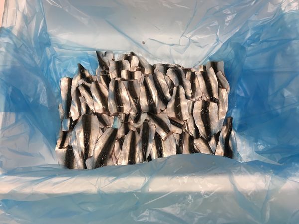 Sprat from 에스토니아 supplied by Arso EE OÜ - Fillet 냉동 스프래트