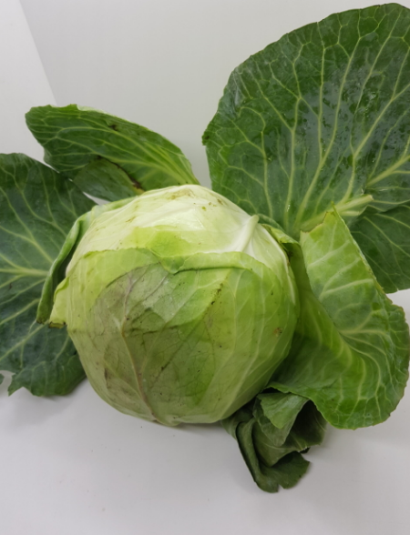 Cabbage from Nigeria supplied by forthworth farms - Medium Kale