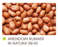 Raw Peanuts from Brazil supplied by Balsamo Peanut Company Ltda - Shelled (=Kernel) Peanut Kernel