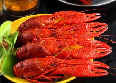 Crayfish from 중국 supplied by XINYANG MINGDE FOOD CO.,LTD - Frozen 가재