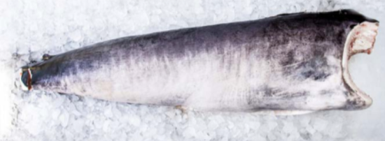 Swordfish (XIPHIAS GLADIUS) Wild Catched from 코스타리카 supplied by Industrias Martec S.A. - High Quality 냉동 황새치 통마리