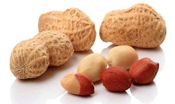 peanuts from 이집트 supplied by Pyramids Co. - Mesh Bags (25kg) (=Net) 땅콩 알맹이