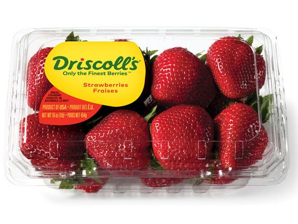 fresh strawberries from Chile supplied by Driscolls de Chile SA - Plastic Punnets (=Clamshells) Fresh Strawberry