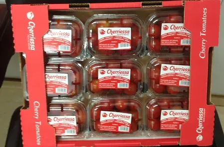 Fresh Cherry Tomato from Israel supplied by Cherriessa - The Saada Farm - Red Fresh Tomato