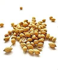 Coriander from 영국 supplied by EDIBLE SOLUTIONS LTD - Whole 고수
