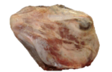 Lamb Head from 아르헨티나 supplied by Frigorifico Faimali S.A. - Others - Head 양고기