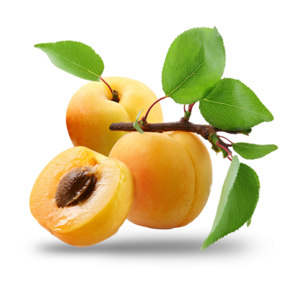 Fresh Apricot from 튀르키예 supplied by Alanatura - Fresh (=Chilled) 신선 살구