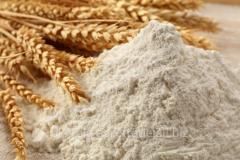 Wheat Flour from Kazakhstan supplied by GRANASCO - White Wheat Flour