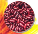 Red Kidney Beans from 인도 supplied by KALP IMPEX - Whole 클러스터콩