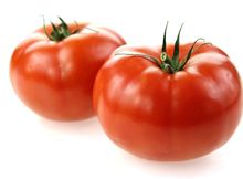 Tomatoes from Kenya supplied by Wamu Investments Ltd - Red Fresh Tomato