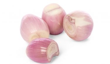 Onion from Netherlands supplied by Snijpunt B.V. - Whole Fresh Onion