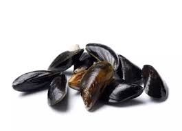 Mussel from Spain supplied by Paquito SL - Whole (=In Shell=Unshucked) Frozen Mussel