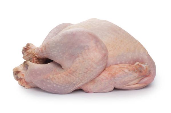 Turkey Meat from 벨기에 supplied by Paas Food Industries - Cut 칠면조고기