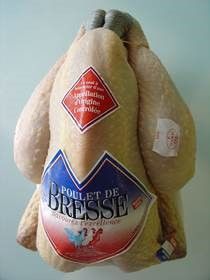 Bresse-Kip from 벨기에 supplied by De Troyer - With Bone 냉동 미절단 닭고기