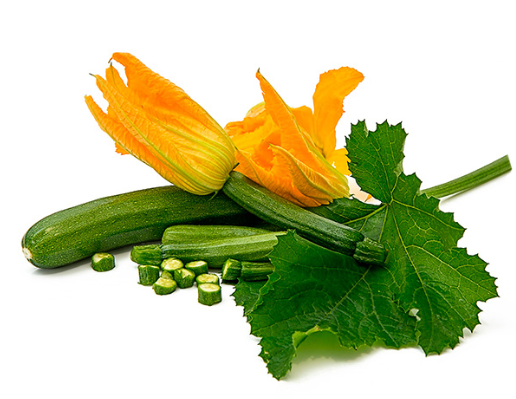 Zucchini from 스페인 supplied by Verduras Marcafruit S.L. - Green 신선 주키니