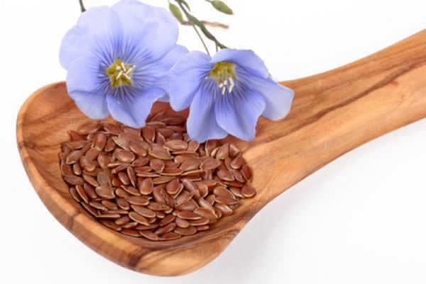 Linseed from 독일 supplied by Allerlei-BIO - Brown 아마인