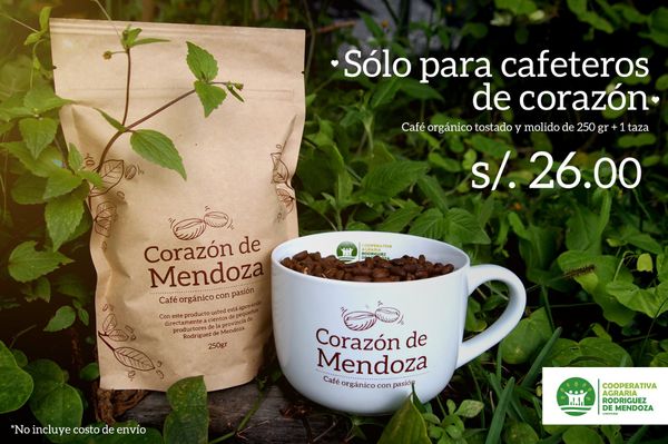Coffee from 페루 supplied by Cooperat. Agr. Rodriguez De Mendoza - Roasted 생원두