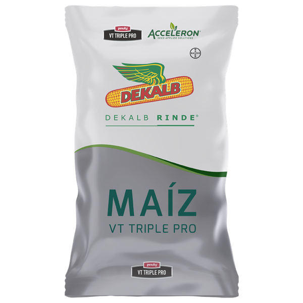 Corn Seed from 파라과이 supplied by COMPAÑIA DEKALPAR S.A. - For Seed 옥수수