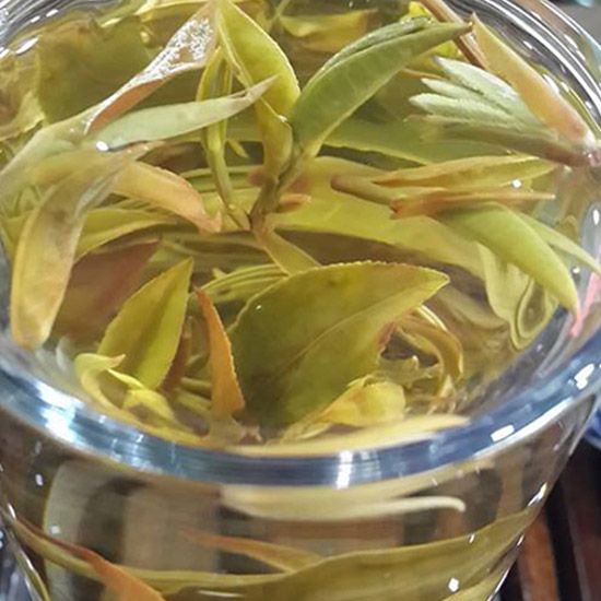 White Tea from 미얀마 [버마] supplied by The Golden Triangle Green Tea Company - 건조 백차