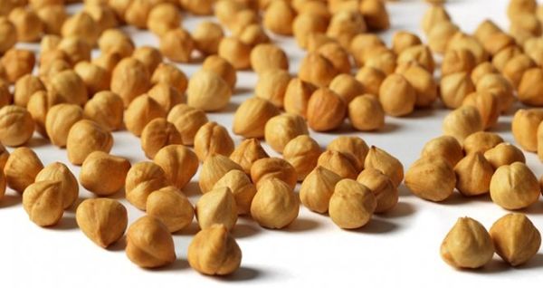 Roasted Blanched Hazelnut Kernels from 튀르키예 supplied by Bozbağ Fındık - In-shell 헤이즐넛 알맹이