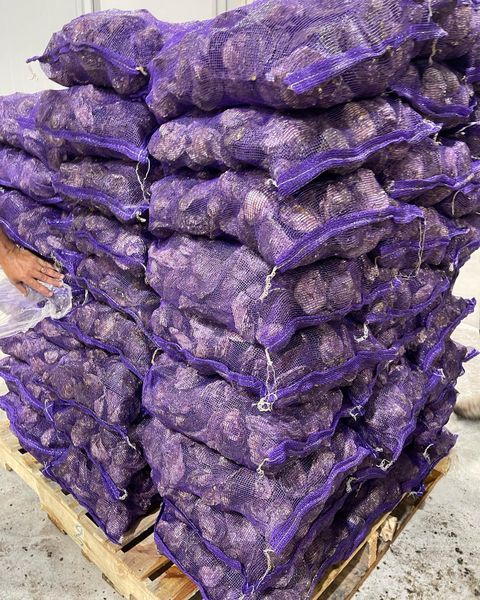 Fresh Oyster from 미국 supplied by WILD REEF SEAFOOD - Whole (=In Shell=Unshucked) 신선 굴
