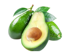 Avocado from Sri Lanka supplied by Dilarshad Enterprise - Whole Fresh Avocado
