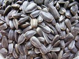 Sunflower Seed from United States supplied by ORGANIC PARTNERS INTERNATIONAL, LLC - Puffed (=Muri=Mudhi=Murai) Sunflower Seed