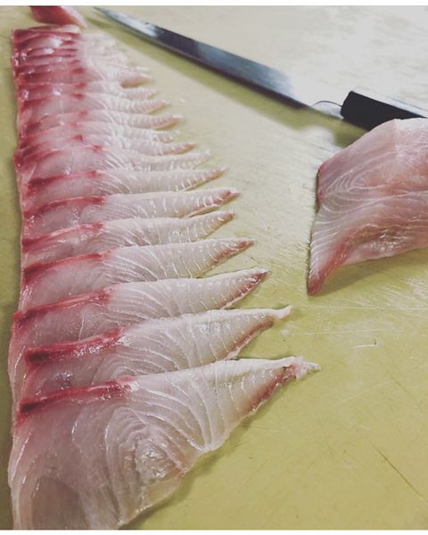 Fresh Almaco Jack from 미국 supplied by Blue Ocean Mariculture - Almaco Jack (=Longfin Yellowtail=Silvercoat Jack=Seriola rivoliana) 냉동 잿방어