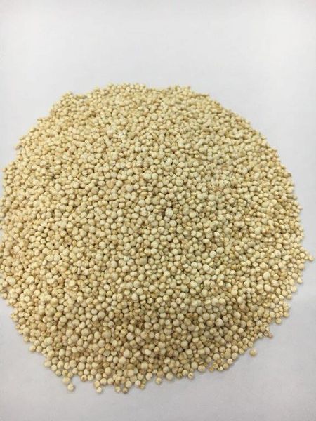 QUINOA from Peru supplied by Interloom Company - As per customer's request Quinoa