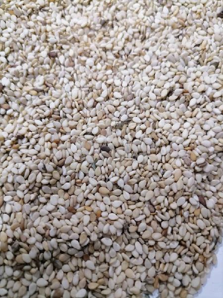 Sesame Seeds from 수단 supplied by CULLINAN IMPORT AND EXPORT - 생 참깨