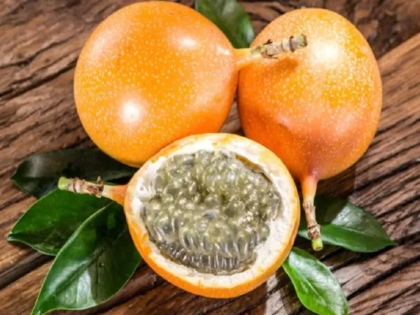 Golden Passion Fruit – Colombia from Colombia supplied by FoodsMas - Sweet Varieties Fresh Passionfruit