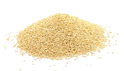White Quinoa from Peru supplied by Monha Service S.A.C. - Peruvian Quinoa