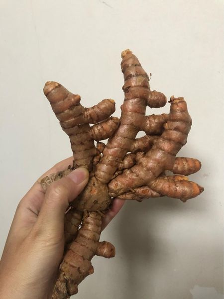 Turmeric from Vietnam supplied by Highland Fruilt LTD Co. - Turmeric