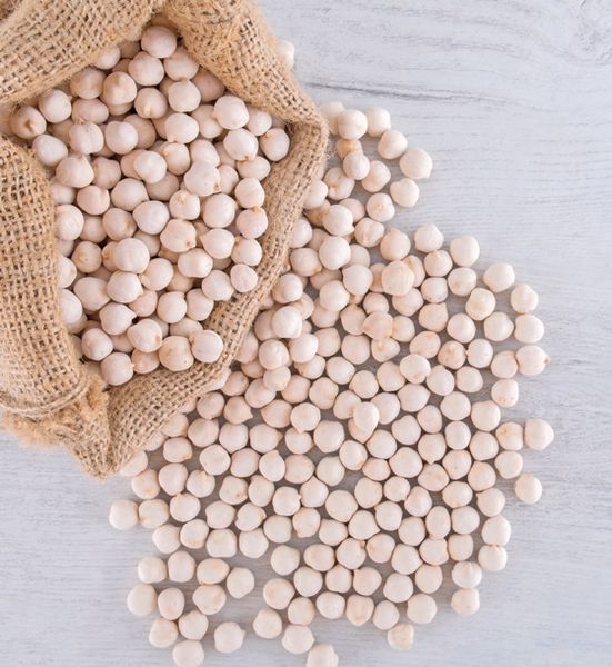 White Chickpeas from 튀르키예 supplied by Altintop Kuruyemis - For Food 말린 병아리콩