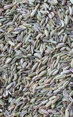 Fennel Seed from Turkiye supplied by DEFNE A.S. - DEFNESA - Dried Fennel Seed