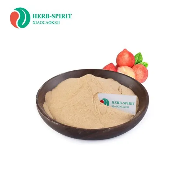 Dried Peach Fruit Powder from China supplied by Xi'an Xiaocao Botanical Development Co., Ltd. - Powder Fresh Peach
