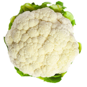 Fresh Organic Cauliflower from United States supplied by Pure Pacific Organics - Whole Fresh Cauliflower