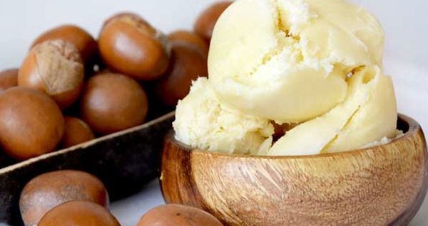 Shea Nut from Ivory Coast supplied by COOPARES - Raw Shea Nut