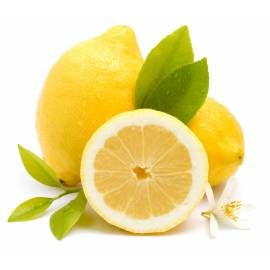 Lemons from 스페인 supplied by ORANGES ONLINE - NARANJAS QUIQUE - Yellow 신선 레몬