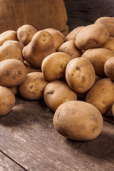 Potato from 벨기에 supplied by AARDAPPELHANDEL VINDEVOGEL - 갈색 신선 일반 감자
