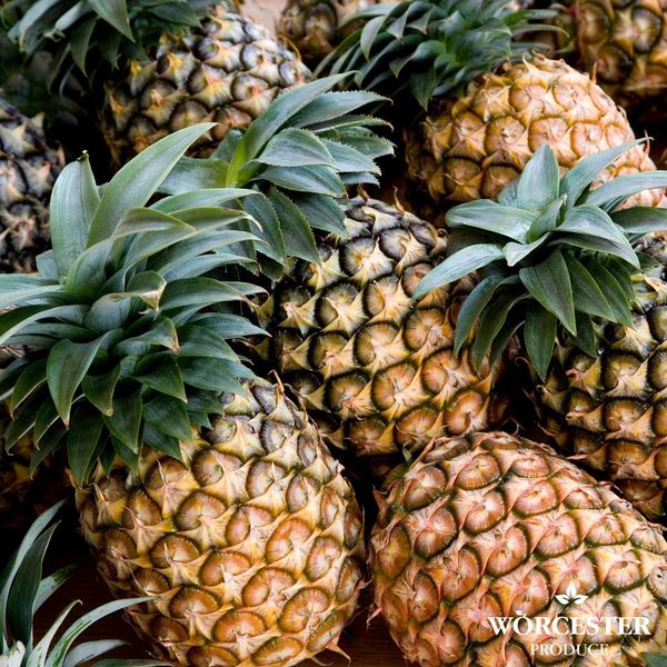 Pineapple from 영국 supplied by Worcester Produce - Golden Yellow 신선 파인애플