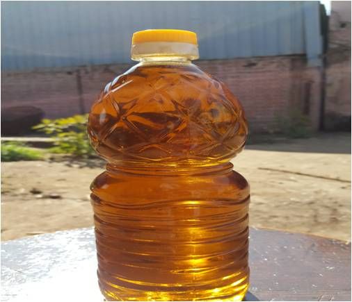 Raw Linseed Oil from 이집트 supplied by TANTA FLAX & OIL COMPANY - Plastic Bottle 린시드 오일