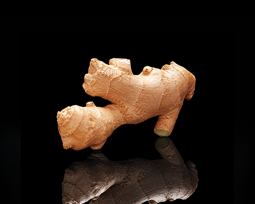 Ginger from 핀란드 supplied by Luonnosta Finland Oy - Whole 통생강