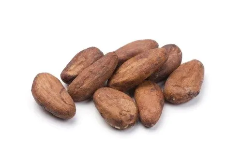 CCN51 Cocoa Bean from Ecuador supplied by CCA GmbH - Cocoa Bean